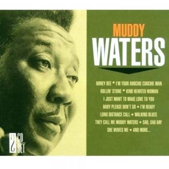 Muddy Waters