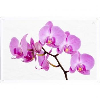 Metal cartel Cartel de chapa Hojalata sesión Flower Tin Sign #32318 Pink Orchids Retro Vintage Pared Decoración by hamgaacaan