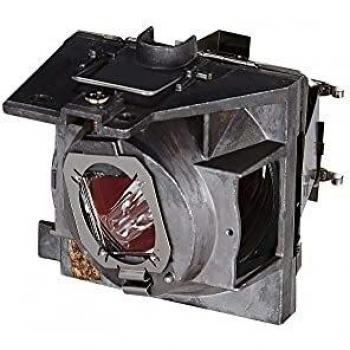 Lámpara Viewsonic RLC-109 para proyector PG603W