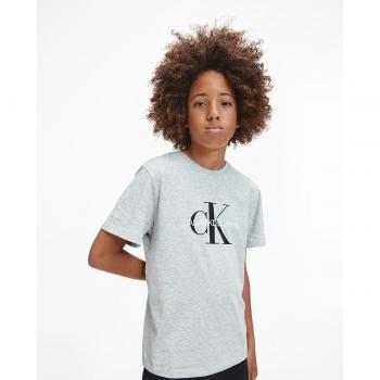 Camiseta de niño Calvin Klein en gris con print