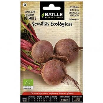 Semillas Ecológicas Hortícolas - Remolacha Mesa Detroit 2 - ECO - Batlle