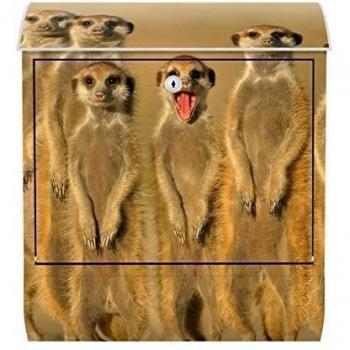 Buzón de pared Meerkat Family Animales Wildnis Wild Safari Africano de impresión Art Modern - No. 13