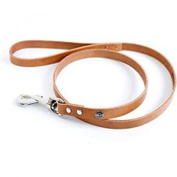 Correa de perro clásica de cuero Martin Sellier con collar incluido