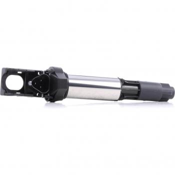 Bobina de encendido RIDEX 689C0005 para BMW, PEUGEOT y CITROËN (modelos 3 Limousine E46/E90, 1 Schrägheck F20, Partner II Van)