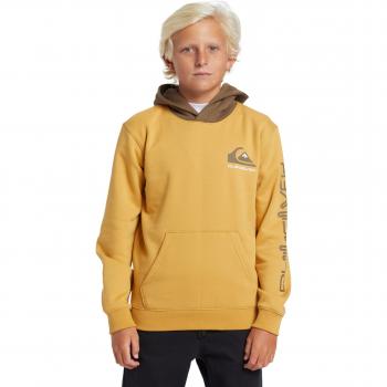 Quiksilver - Sudadera con capucha para niños Logo Quiksilver Omni