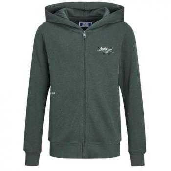 Jack & Jones Sudadera con Cremallera Great para Niño, Chaqueta con Capucha, Logo B2S, Color Magical Forest