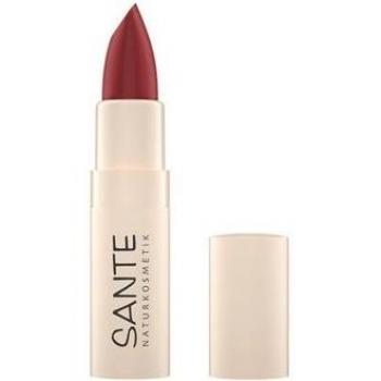 Sante Pintalabios Hidratante Wild Mauve 4,5g
