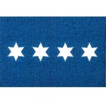 F & S SHOE-CLEANER felpudo alfombra de alta calidad, robusto. 80 x 120 cm. Para la entrada , pasillo o en la cocina. Lavable a máquina a 30 grados. Diseño estrellas. Color azul. Fabricado en Europa occidental.