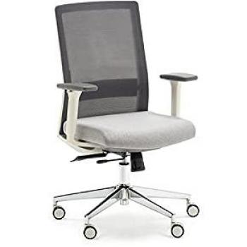 Silla de Oficina Ergonómica Euromof Niza con Respaldo de Malla y Color Gris