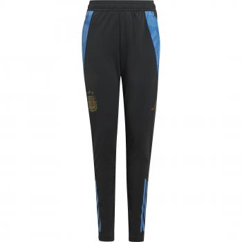 Argentina Copa America 2024 Kids Training Pants