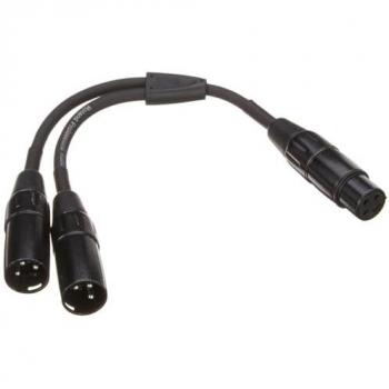 Cable divisor en Y XLR hembra a 2 XLR macho de 15 cm - Roland RCC-YC-XF2XM