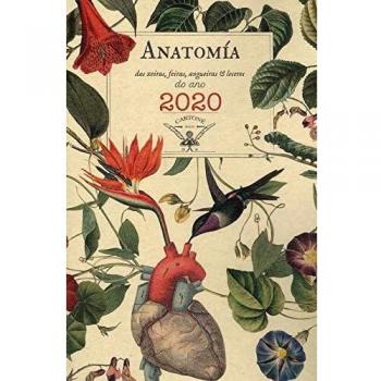 Anatomía das xeiras, feiras, angueiras e leceres do ano 2020
