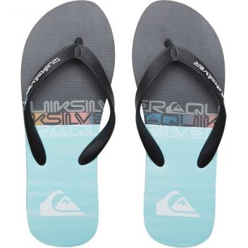 Quiksilver - Chanclas de hombre Molokai Stripe AQYL101361