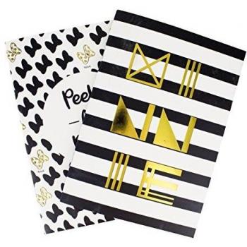 Minnie mouse pp4156min Notebook
