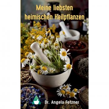 Mis plantas medicinales favoritas de la región