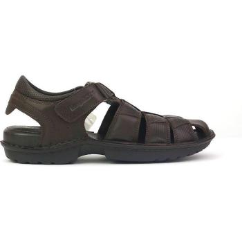 Sandalia De Hombre Cangrejera Kangaroos 325 Marron