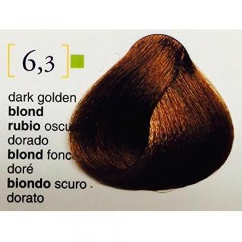 Salermvison Permanent Hair Dye 75 ml - Dark Golden Blonde (6.3)