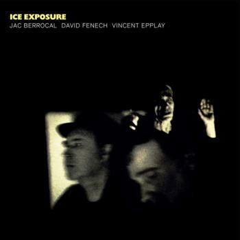 Vinyl Ice Exposure Cover