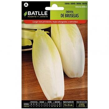 Semillas Hortícolas - Endivia de Bruselas - Batlle