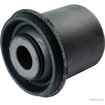 Suspensión Brazo Oscilante HERTH+BUSS JAKOPARTS J4205114 Soporte de Brazo Oscilante