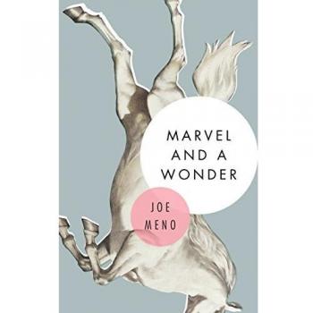 Marvel and a Wonder : A Novel