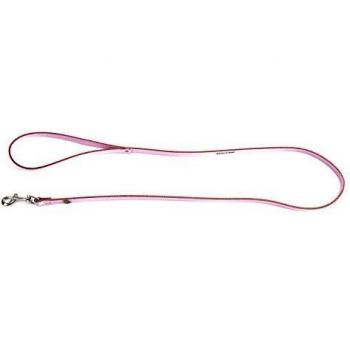 Correa para perro de cuero clásico Martin Sellier - Leash & Collar Set
