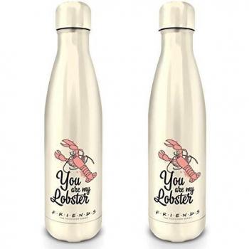 Friends MDB25499 - Botella de acero, 500 ml, unisex, multicolor, 500 ml