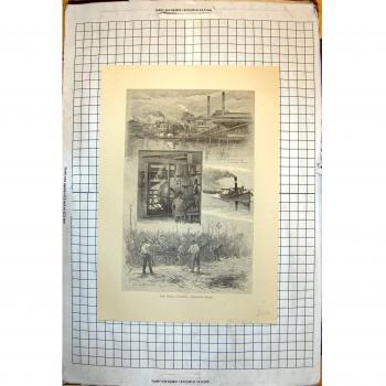 Drucken Sie Zuckerindustrie-Richmond-Fluss New South Wales Australien 1886 266J716