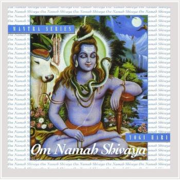 Om Nama Shivaya
