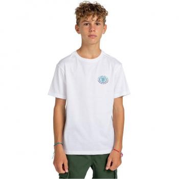Camiseta Element Sandy