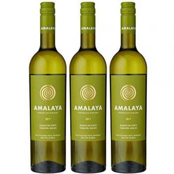 Vino Blanco Amalaya Torrontés/Riesling 2024 Valle Calchaquí Salta 750ml