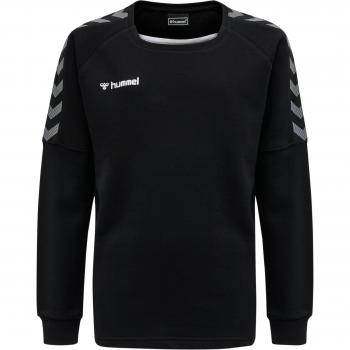 Hummel hmlAUTHENTIC Training Kids Sweatshirt