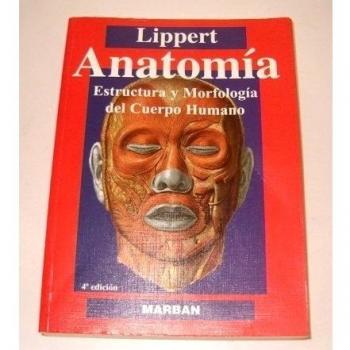 Anatomía