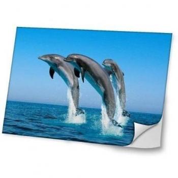 Vida Marina 10047, Diseño Mejor Pegatina de Vinilo Protector con Efecto Cuero Extraíble Adhesivo Sticker Skin Decal Decorativa Tapa con Diseño Colorido para Portátil 15.6''.