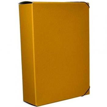 Liderpapel 37359 - Carpeta proyectos