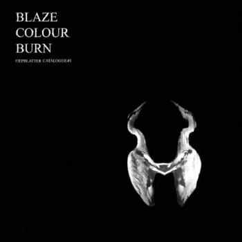 Blaze Colour Burn - Intense Color Hair Dye