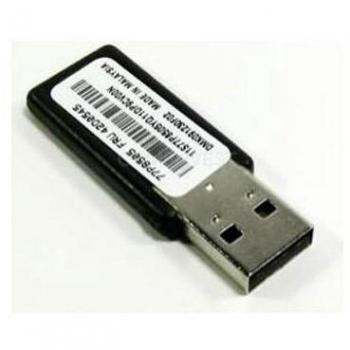 IBM System x Blank USB Memory Key for VMWare - Servidor