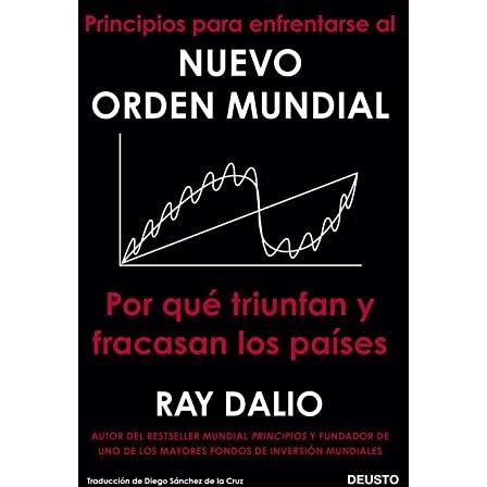 Imagen Principal