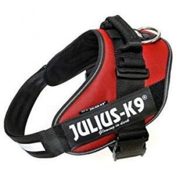 Julius-K9 16IDC-BOR-2 IDC Power Harness, Tamaño 2, Burdeos Marrón, Bordeaux-Brown, 2