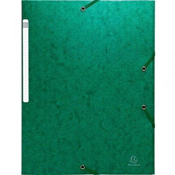 Exacompta 55953E - Carpeta con goma, A4, color verde