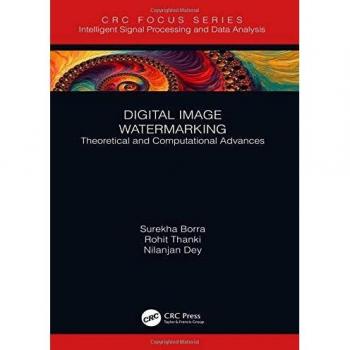 Digital Image Watermarking: Theoretical and Computational Advances