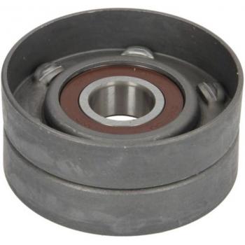 Polea tensora y brazo tensor para correa poli V BTA E2R5585BTA