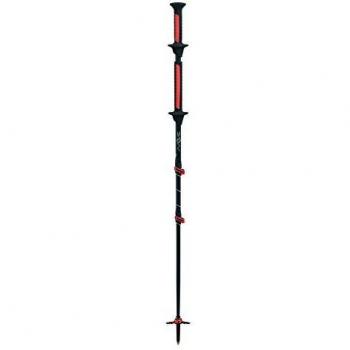 TSL Move Carbon 3 Swing Ski Poles