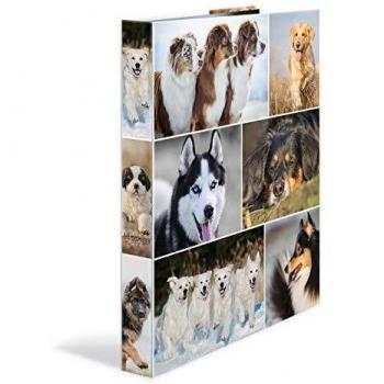 Carpeta de anillas HERMA A4, 4 anillas, diseño de perros