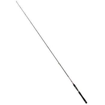 Caña de Spinning Daiwa Crosskayak 1.91 m Unisex