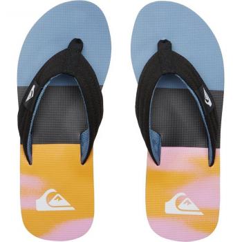 Sandalias Quiksilver Molokai Layback