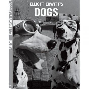 Dogs - Elliott Erwitt -Small Edition