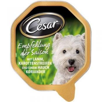 Cesar en tarrinas 28 x 150 g - Cordero, zanahorias y cilantro en gelatina