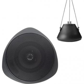 Speco SP30PTB 30-Watt 5.25 Inch Pendant Speaker (Black)