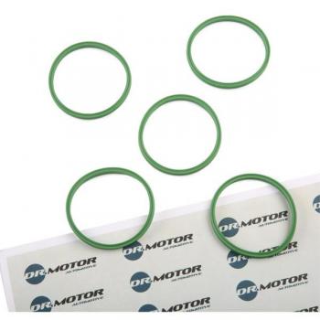 Junta Anular para Conducto de Aire de Admisión DR.MOTOR AUTOMOTIVE DRM01135 compatible con VW, AUDI y SKODA